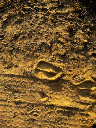 A Giraffes Footprint in Desert Sandの写真素材