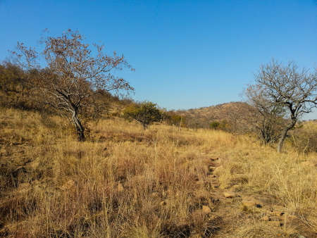 Landscape view of Loskop Nature Reserve,South Africaの写真素材
