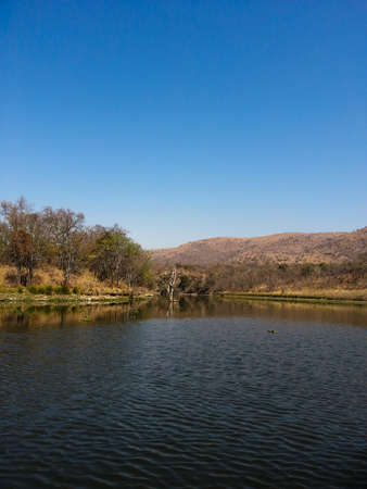 Landscape view of Loskop Nature Reserve,South Africaの写真素材