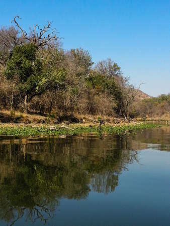 Landscape view of Loskop Nature Reserve,South Africaの写真素材