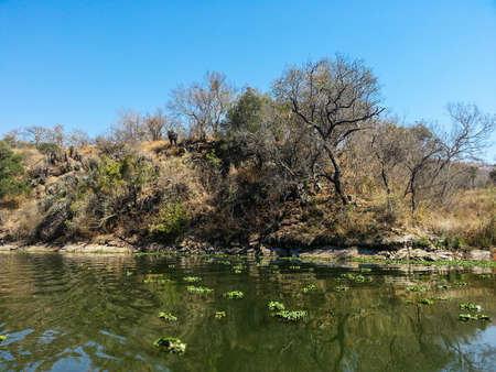 Landscape view of Loskop Nature Reserve,South Africaの写真素材