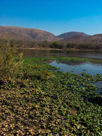 Landscape view of Loskop Nature Reserve,South Africaの写真素材