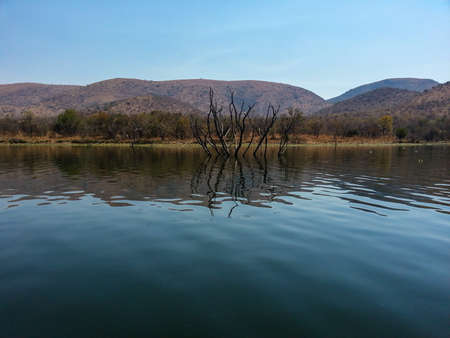 Landscape view of Loskop Nature Reserve,South Africaの写真素材
