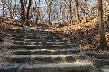Stone Stairs in a Zen Garden