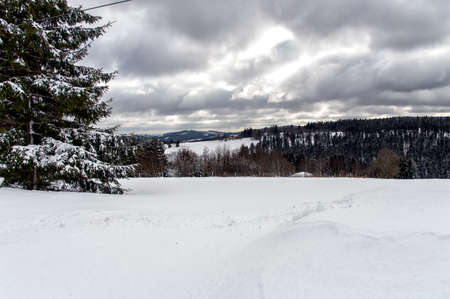 winter landscape in NeuAstenberg, Sauerland, Germanyの写真素材