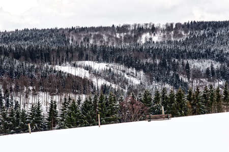 winter landscape in NeuAstenberg, Sauerland, Germanyの写真素材