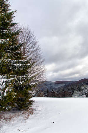 winter landscape in NeuAstenberg, Sauerland, Germanyの写真素材