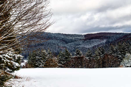 winter landscape in NeuAstenberg, Sauerland, Germanyの写真素材