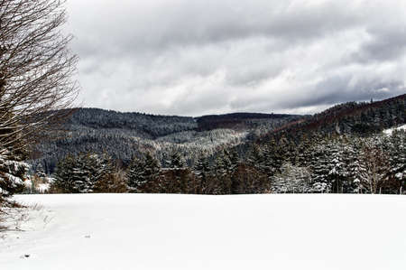 winter landscape in NeuAstenberg, Sauerland, Germanyの写真素材