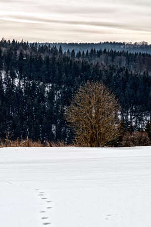 winter landscape in NeuAstenberg, Sauerland, Germanyの写真素材