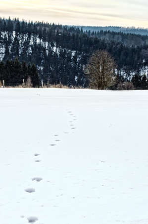 winter landscape in NeuAstenberg, Sauerland, Germanyの写真素材