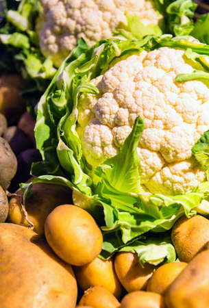 Cauliflower and Potatoes food backgroundの写真素材
