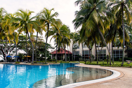 Poolside in a tropical setting.のeditorial素材