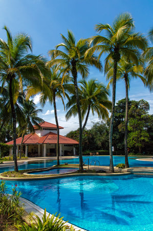 Swimming pool in a tropical setting.のeditorial素材