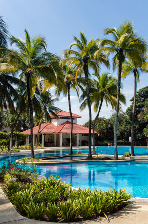 Swimming pool in a tropical setting.のeditorial素材