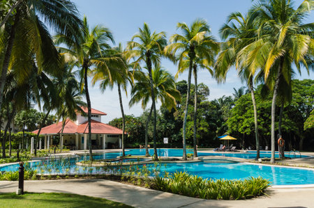 Swimming pool in a tropical setting.のeditorial素材