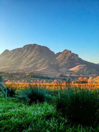 View of the farm Hidden Valley STELLENBOSCH SOUTH AFRICAの写真素材