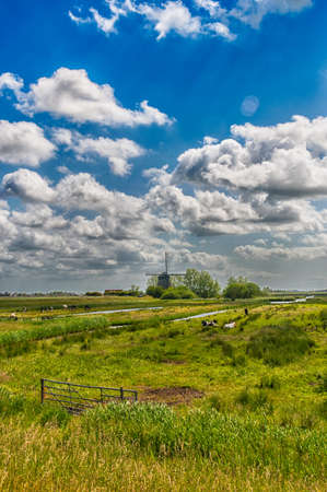Typical Dutch Landscape with farm animals and windmillの写真素材