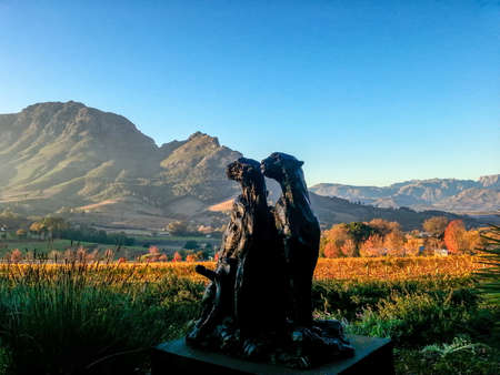 View of the farm Hidden Valley STELLENBOSCH SOUTH AFRICAの写真素材
