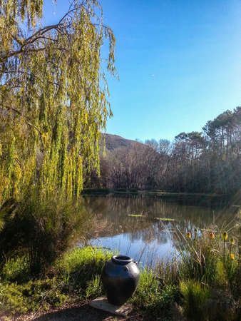 View of the farm Hidden Valley STELLENBOSCH SOUTH AFRICAの写真素材