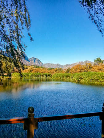 View of the farm Hidden Valley STELLENBOSCH SOUTH AFRICAの写真素材