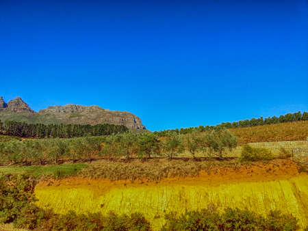 View of the farm Hidden Valley STELLENBOSCH SOUTH AFRICAの写真素材