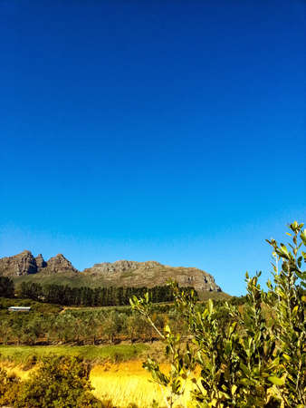 View of the farm Hidden Valley STELLENBOSCH SOUTH AFRICAの写真素材