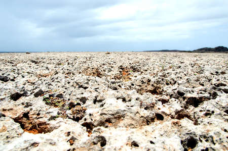 Rocky dry surface of the seabottom, Curacao