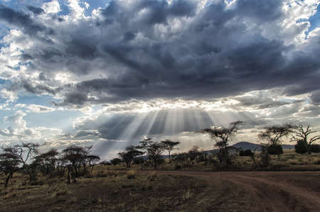 Africa, Tanzania Serengeti National Park sunsetの写真素材