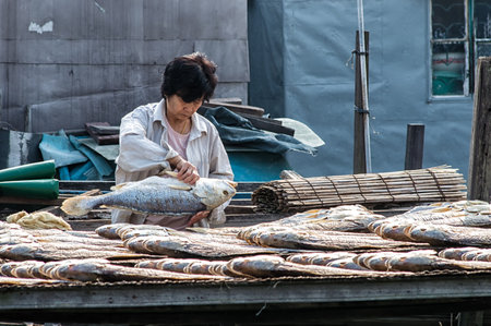 Hong Kong - November 30, 2015: Fish sellers weighing and selling fresh fish. Located in Tai O of Hong Kong.のeditorial素材