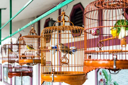 Birds in cages for sale at Birds market, Kowloon Hong Kong, popular tourist destination.の写真素材