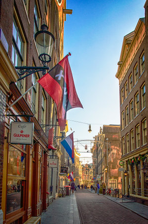 Amsterdam, The Netherlands - 08 January, 2015: The famous Zeedijk street in Amsterdam center with bars, restaurants and tourists, The Netherlandsのeditorial素材