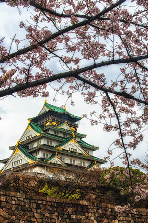 Osaka castle in Japan framed by beautiful cherry blossomsのeditorial素材