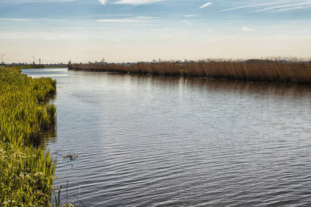 Dutch landscape with water, reeds clouds
