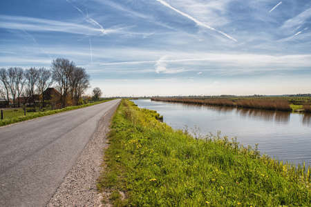 Road in rural area, Dutch meadow landscape, Netherlandsの写真素材