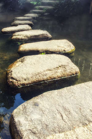 Misty Stone path in zen gardenの写真素材