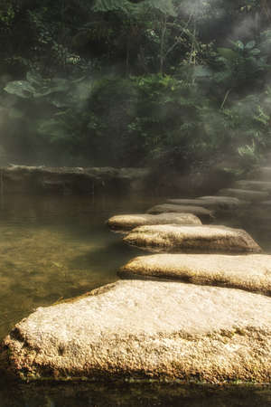 Misty Stone path in zen gardenの写真素材