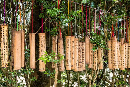 PINGXI, TAIWAN - June 24, 2016: Bamboo Tube for Wishing at Pingxi Old Street. Visitors write their wishes on bamboos then pray and hang them together.のeditorial素材