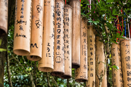 PINGXI, TAIWAN - June 24, 2016: Bamboo Tube for Wishing at Pingxi Old Street. Visitors write their wishes on bamboos then pray and hang them together.のeditorial素材