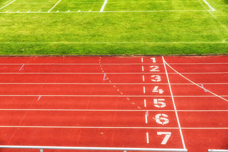 Running track lines with green grassの写真素材