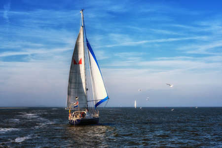 Sailing ship yachts with white sails in the open sea
