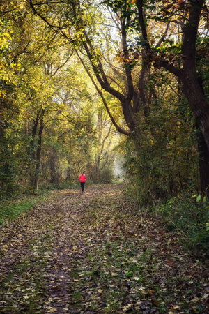 runner caucasian woman jogging in autumn forestのeditorial素材