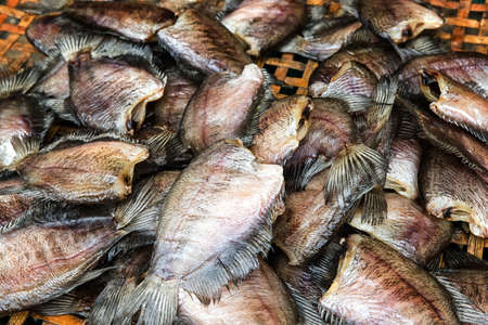 Fish at a market in Bangkok, Thailandの写真素材