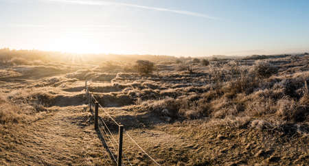 Typical dutch landscape Panorama in the coastal area with trees, dunes, blue sky, clouds, grass, bushesの写真素材