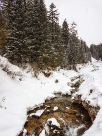 Small stream in the forest in winter, Austriaの写真素材