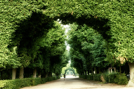 Vienna, Austria - July 09, 2017: Schonbrunn palace in Vienna; Tourists are walking in the park of the famous Schonbrunn Palace.'のeditorial素材