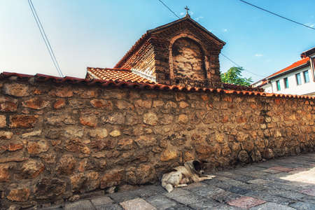 Resting Dog and Ancient picturesque street in Ohri, Macedoniaの写真素材