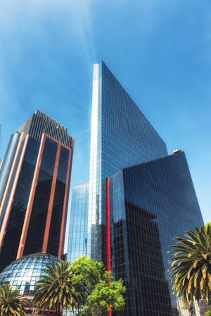 Paseo de la Reforma is a very long and tree-covered avenue in Mexico City.