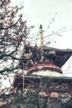Narita, Japan 17 March, 2018: The Daitou, or Great Temple, built in 1984, stands over 58 meters tall on the top of Narita Mountain. The Narita-san temple, also known as Shinsho-Ji (New Victory Temple), is Shingon Buddhist temple complex, first establishedのeditorial素材