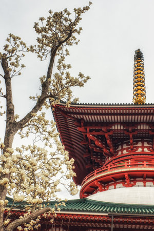 Narita, Japan 17 March, 2018: Great Pagoda of Peace and magnolia blossom in the front.のeditorial素材